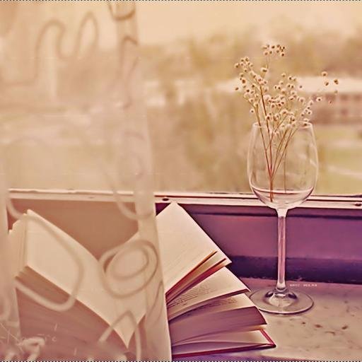 bStdpVFliqpWTZX's profile picture. 