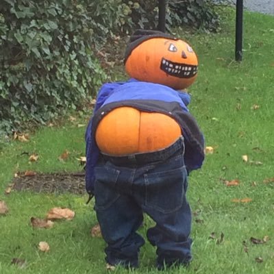 BarryD_doak's profile picture. 