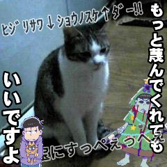 ラジオ仲間はフォロープリーズ!!現在フォローもフォロバも受け付けてません。あとお絵描き垢作りました【@yasudakokuou】コチラの←フォローはご自由にどうぞ!