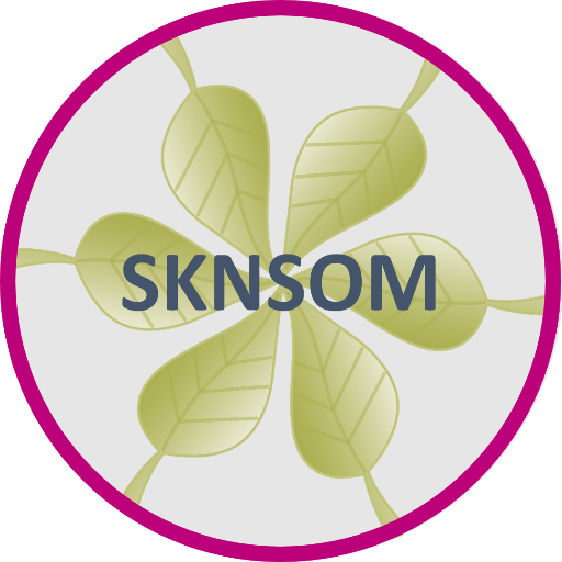 sknsom's profile picture. Natural skincare products formulated and handmade in the UK. In Essex to be exact.
