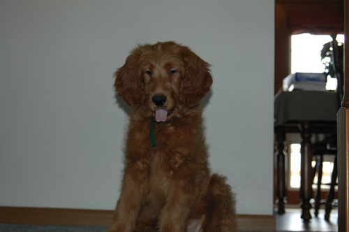 stephe66's profile picture. 