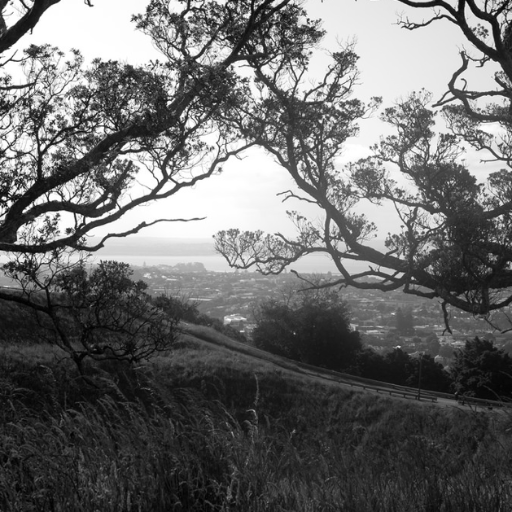 TopDrawEmotions's profile picture. We thank you for following Top Draw Emotions