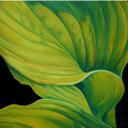 helen read - @hread - Twitter