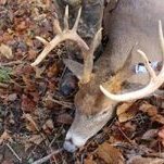 Shawn Winkelfoos (@foos36) 's Twitter Profile