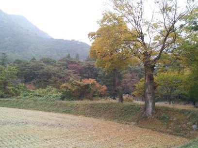 F3Jah6EDVC9lVJI's profile picture. 