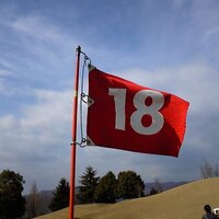 稲Q (@ina__q) 's Twitter Profile