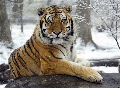 Ed_Twit_Ed's profile picture. 