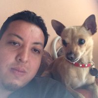 Victormvr (@victormvr83) 's Twitter Profile