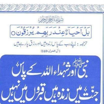 net_belief's profile picture. 