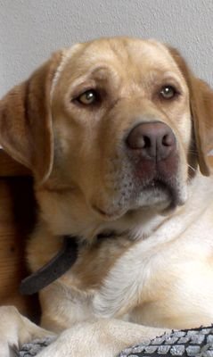 gitte0304's profile picture. 