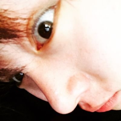삶의 낙