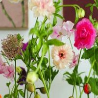 澄香(きよか) (@chambre_de_k) Twitter profile photo