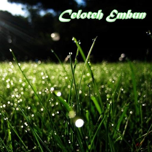 Malam Minggu Sendiri 1 Parody