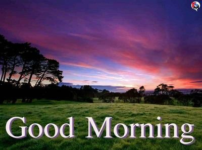 YogeshP61074620's profile picture. 