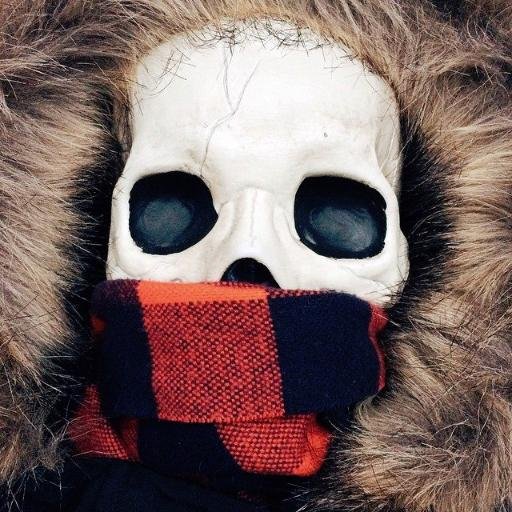 Butts, They're pretty cool. Twitter has a lot of butts. ((TSW rp Character. All the wonderful skeleton pictures are from https://t.co/MTHiTPvXN5…))
