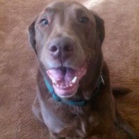 Tony Ortiz (@ajortiz3) 's Twitter Profile