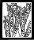 Going Against The Grain is a thought provoking blog, that dares to think, write and comment outside the box of traditional christian thinking.