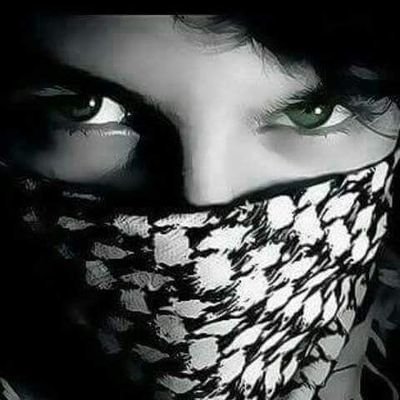 Abd123alrhmanc1's profile picture. 