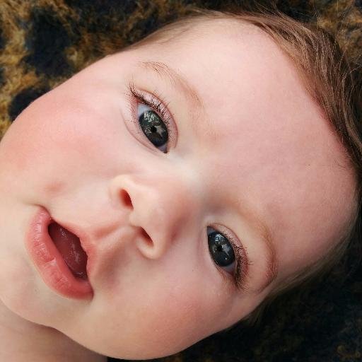 KCloutierSearso's profile picture. 