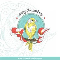 PROYECTO CARBONO (@ongproyecto) 's Twitter Profile