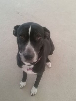 mrmines's profile picture. 