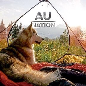 The future of the music industry | Moving artists forward, and bringing them together since 2014 | Encourage creativity | Contact: AuNationMGMT@yahoo.com