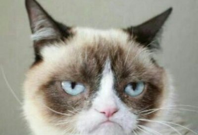 killarnyrd's profile picture. Zoë's Place Baby Hospice provides 24hour respite and palliative care for babies aged 0-5 years with life limiting or life threatning conditons.