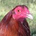 Florencio Angulo (@elportuguez1) Twitter profile photo Florencio Angulo (@elportuguez1) Twitter profile photo
