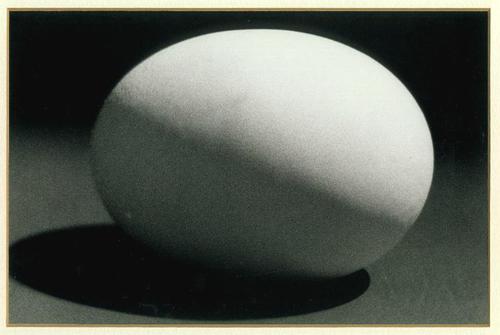 trickstern's profile picture. artist, foodista, steel guitar playin, burner, world citizen, catahoula ownin, do good photographer/writer gay kinda dude