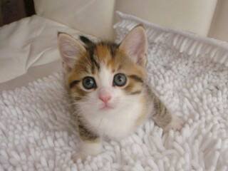 love1204miki's profile picture. Empires & Puzzles にハマってます♪･:*:･(*´艸`*)･:*:･ #empirespuzzles 無断でフォロー許して下さいませ ♪ ( *・ω・)*_ _))ﾍﾟｺﾘﾝ