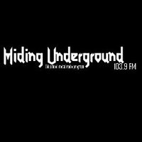 Hiding Underground (@huhmp1) 's Twitter Profile
