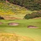 EddieH84223729's profile picture. 