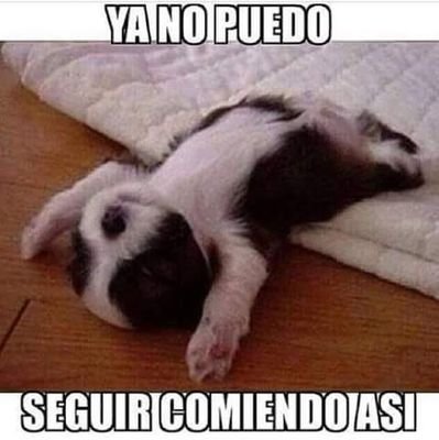 JAVIER MONROY javier monroy: