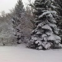 Weather Alerts Europe ⚠ (@weatheralertseu) 's Twitter Profile