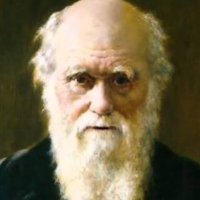Maskülen Darwin (@maskulen_d) Twitter profile photo
