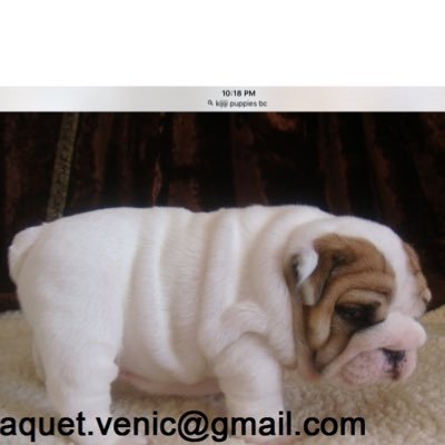 Gabriel31687461's profile picture. 