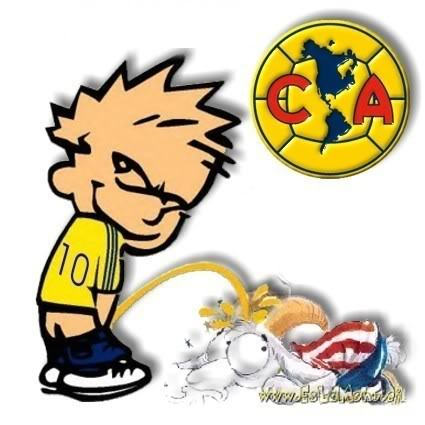 inteligente,deportista,sociable