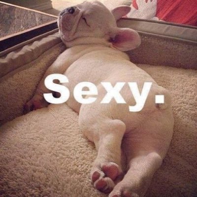 arthur_kylin's profile picture. 