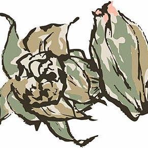 shuld783's profile picture. 