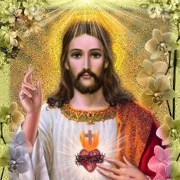 FielFielplantas's profile picture. 