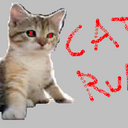 Ethan Stanton - @shadowzz224422 - Twitter