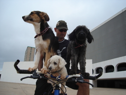 Me ? an easy going English Tutor(adults)in Brasilia City Centre,biker, cyclist for 3 dogs,making a fresh start in life. No more the fool and no more suffering!