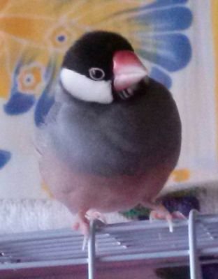 リクセキさんのプロフィール画像