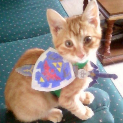 NOLEstupid's profile picture. 