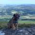 Hazel Alway & Aussie the BT. (@alwayhazel) Twitter profile photo Hazel Alway & Aussie the BT. (@alwayhazel) Twitter profile photo