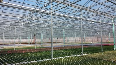 Smart Crop Protection since 1997: COVERTAN Row Covers, Greenhouses, Mulch Films, Wireless Solutions, Farm Supplies, Shade Nets... 1-888-SUNTEX-1