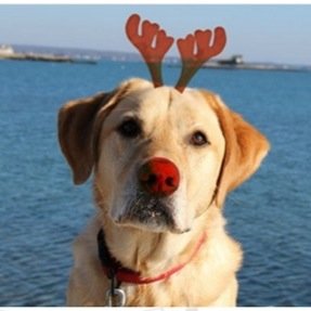 TuckProblems's profile picture. Its a tuck life but someones got to do it.