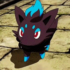 The daughter of @pokemonzoroark. Still young and learning the ways of the world.