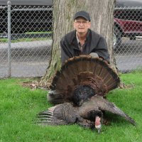 thomas f sciarine (@tfs54f) 's Twitter Profile