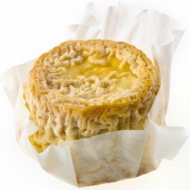 CheeseTease's profile picture. Cheesemongers + Fromagers + CheesePuffs + Cheesters + Turophiles